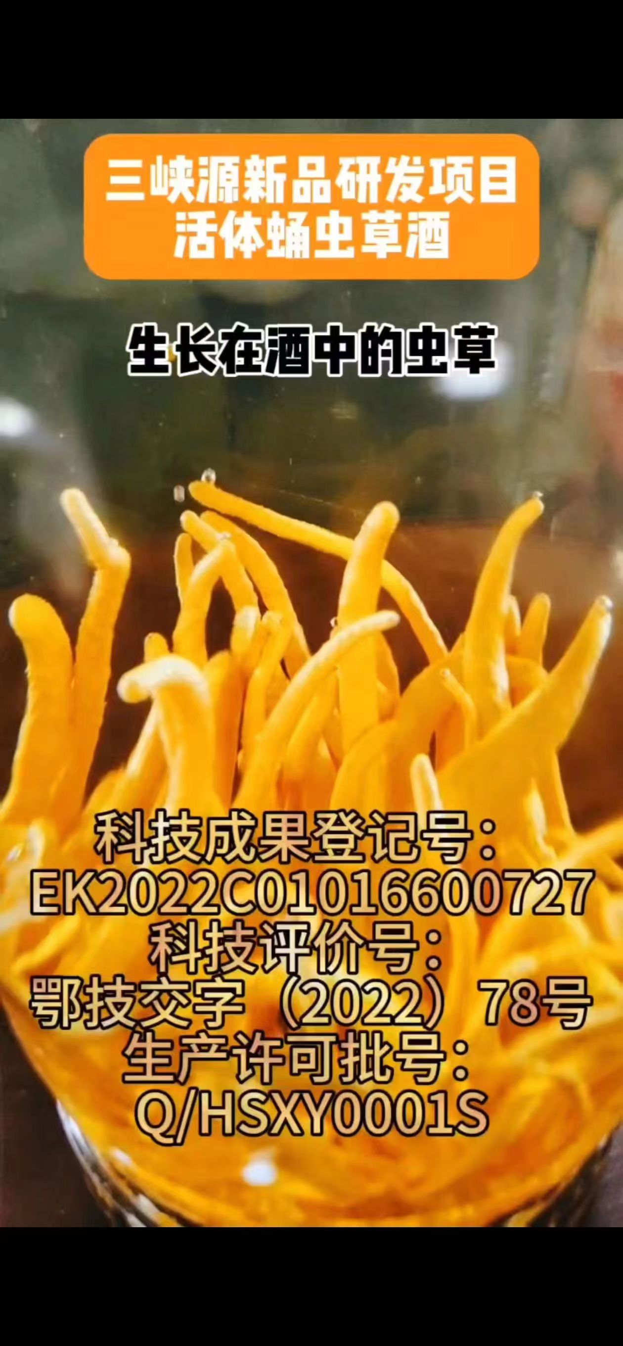 【湖北名酒招商】高利润白酒诚招全国代理商，区域保护+品牌扶持​​